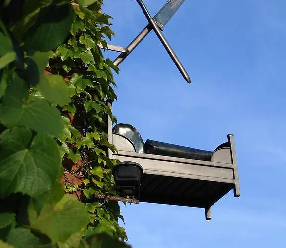 Alte Schule 酒店 Reichenwalde